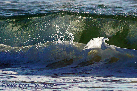 Ocean Surf with Foam