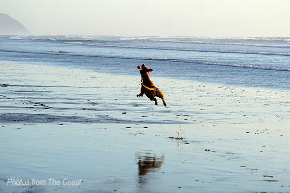 Circe Catching Air
