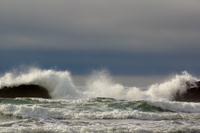 Ocean