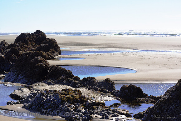 Tidepools at Low Tide