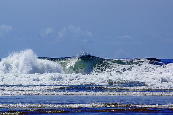 Beautiful Wave