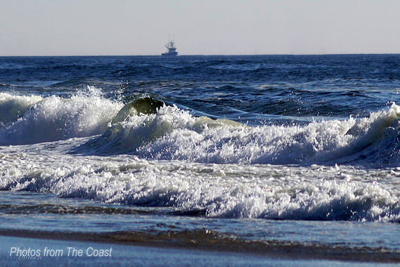 Raucous Surf