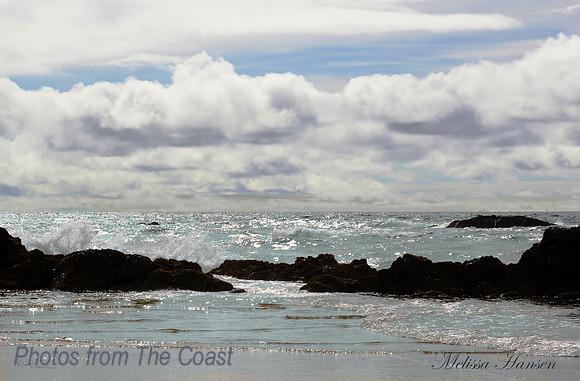 Spring on The Coast