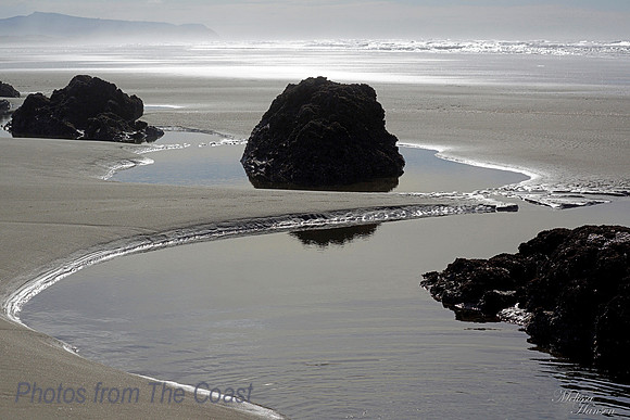 Silver Saltwater Outlines