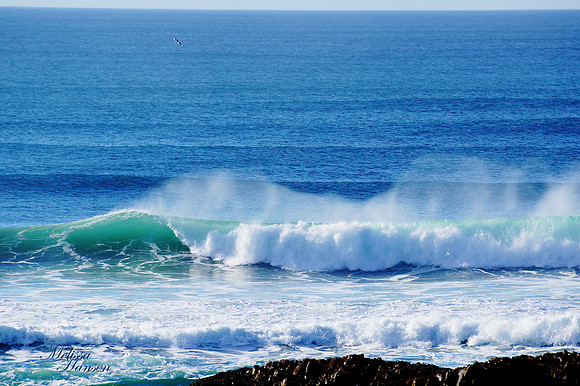 Blues and Turquoise of the Ocean