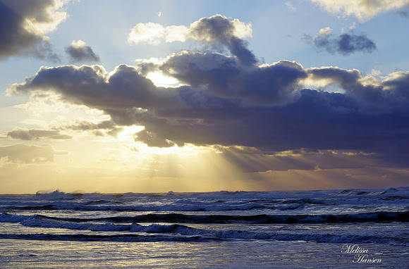 Light Shines Through