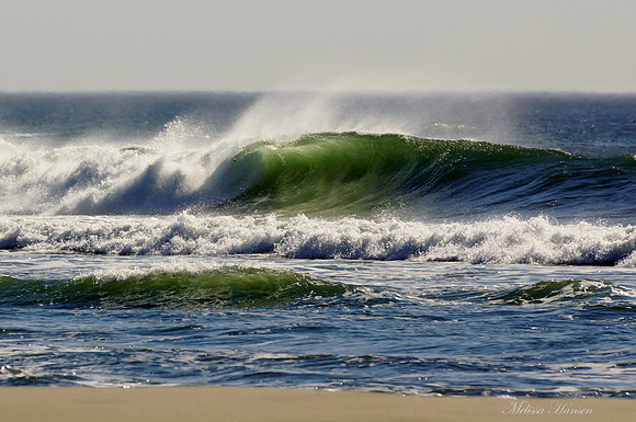 Sunlight Hits Wave