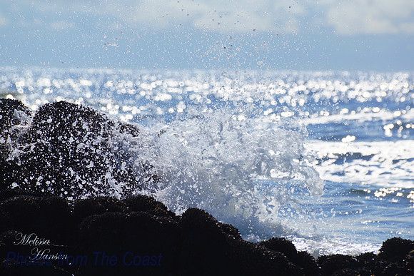 Splash of Saltwater