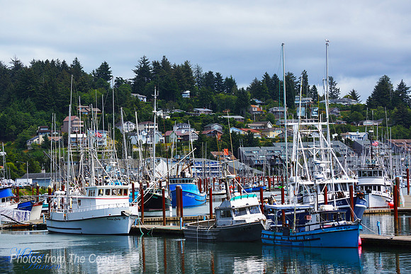 Yaquina Bay