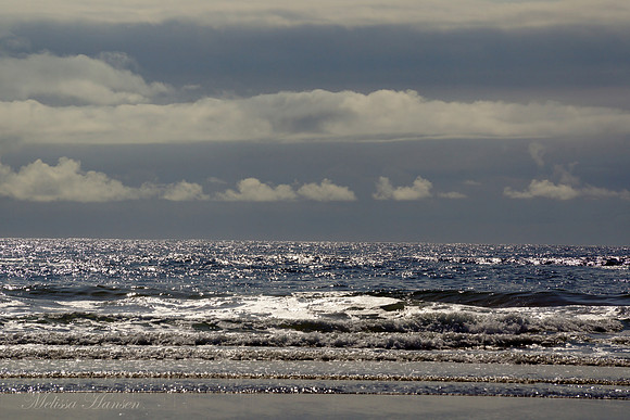 Early Summer Beach