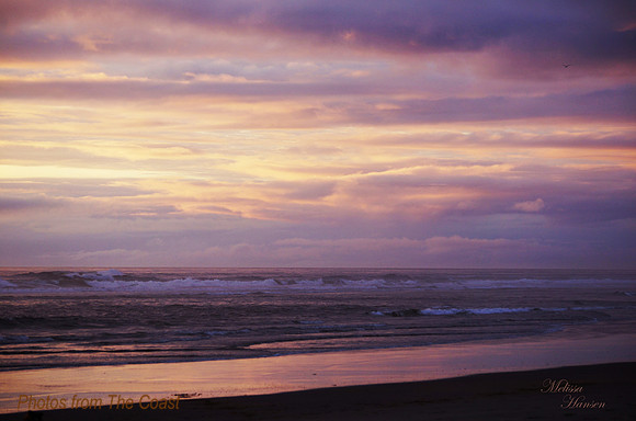 Early Summer Sunset