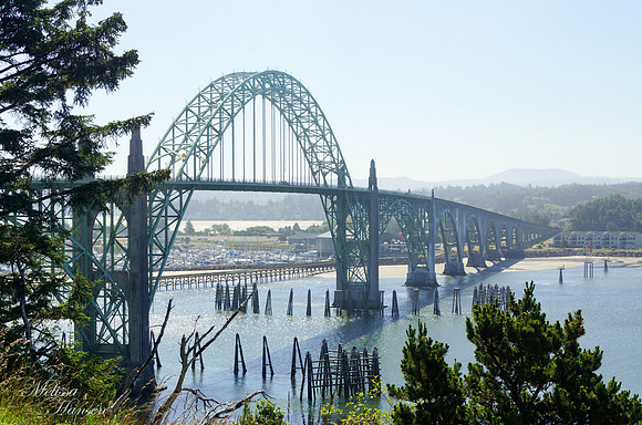 Yaquina Bridge