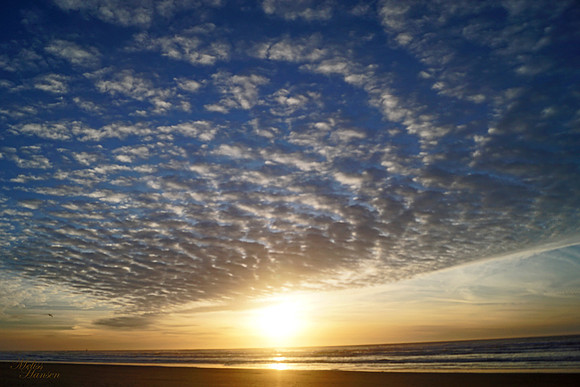 Mackerel Clouds