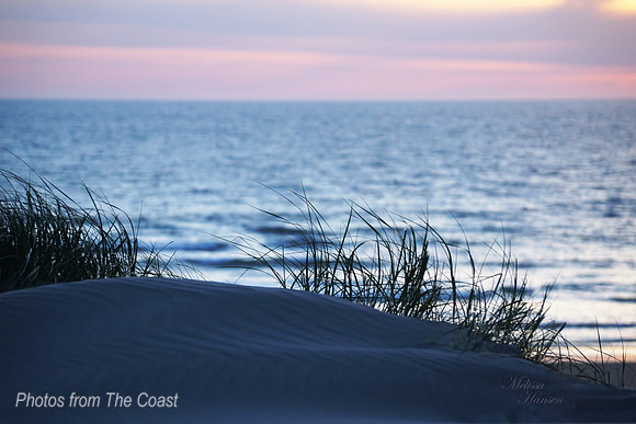 Coastal Pinks & Blues