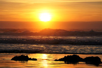 Sun Shines Gold