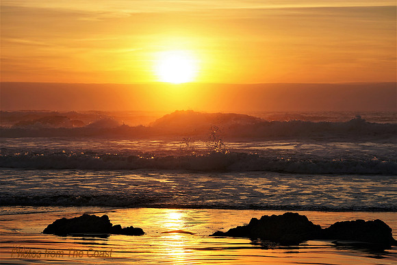 Sun Shines Gold