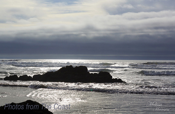 Silver Reflections at Seal Rock