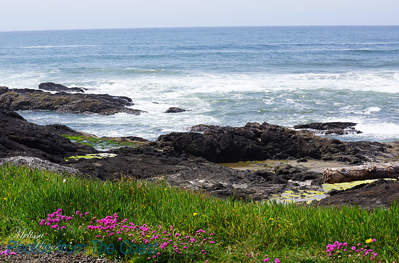 Flowers & Ocean