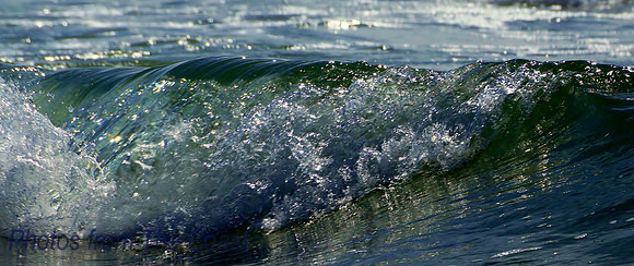 Light Shining Through