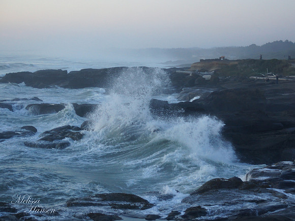 Evening Splash