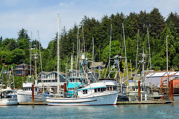Boats Docked