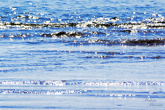 Light on The Bay Waves
