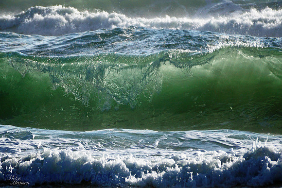 Light in The Saltwater