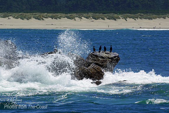 South Jetty Tip