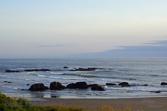 Beautiful Pacific Rocks