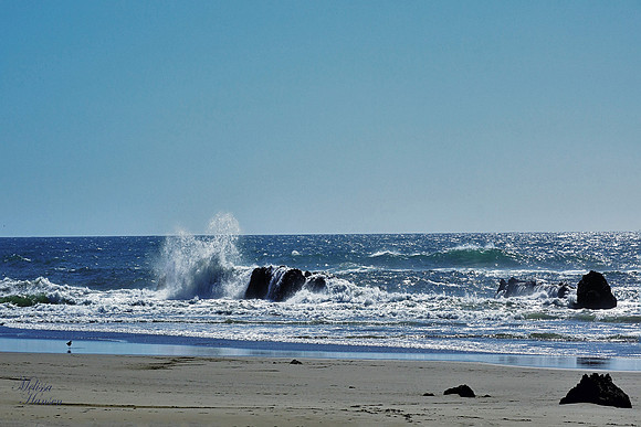 Wave Splash