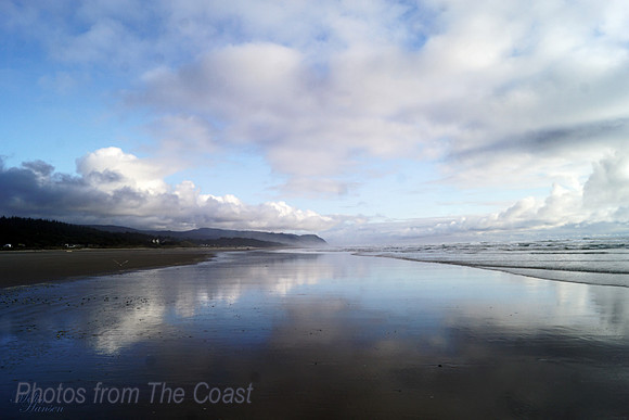 Heceta Head