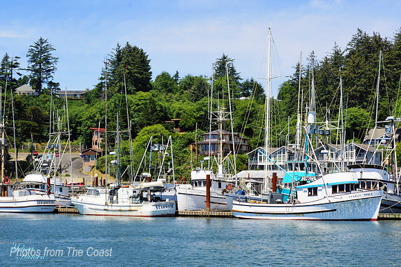 Sunny Day at The Docks