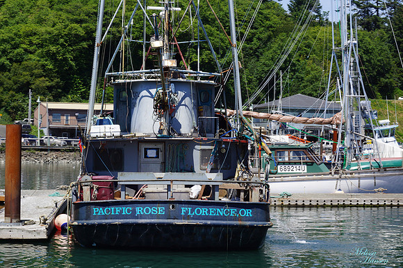 Pacific Rose