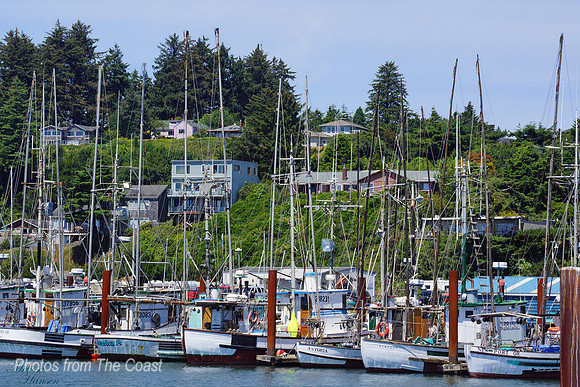 Newport Docks