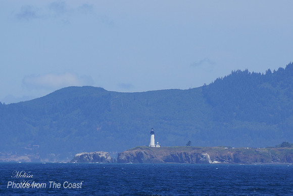 Yaquina Head
