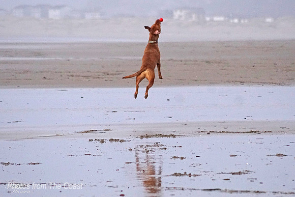 Circe Catching Big Air
