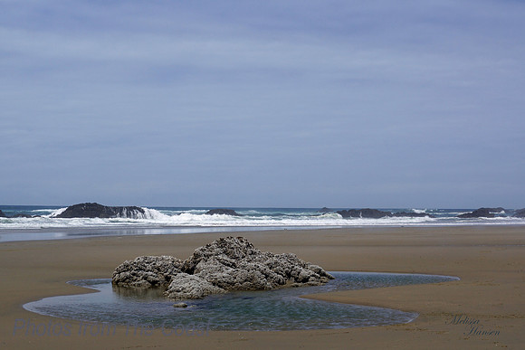 Amazing Tidepool