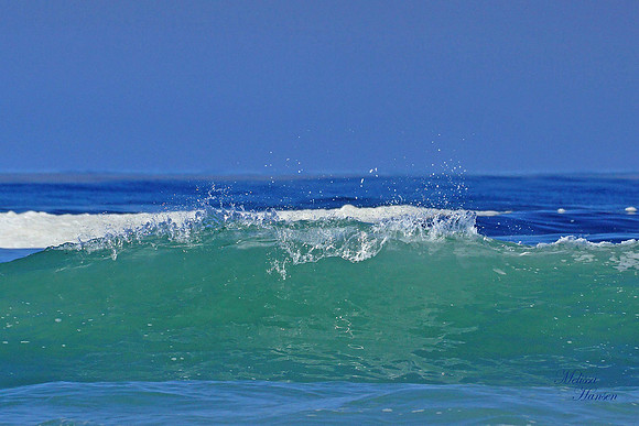 Tip of The Wave