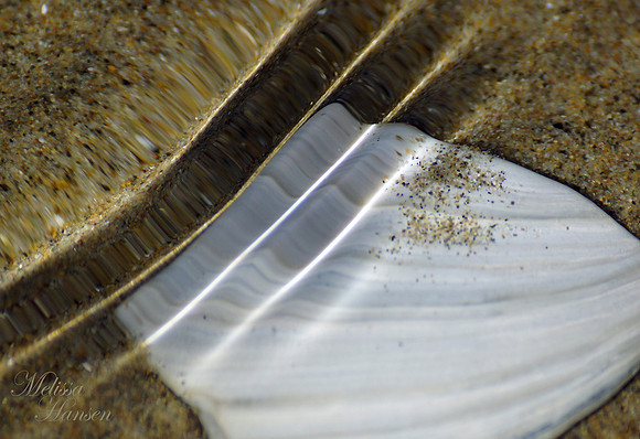 Light Shines through Ripples