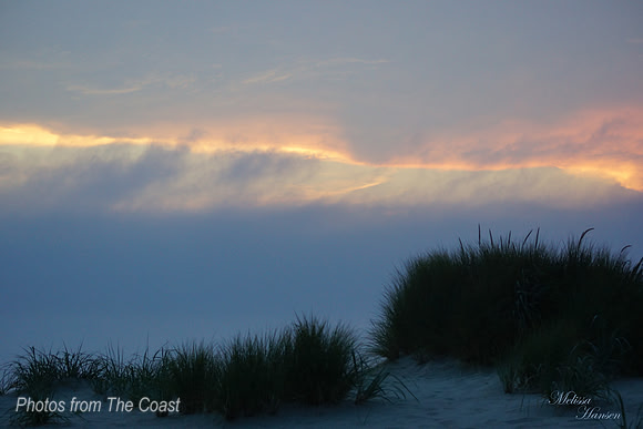 From the Dunes