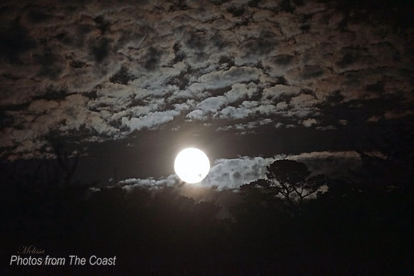September Full Moon