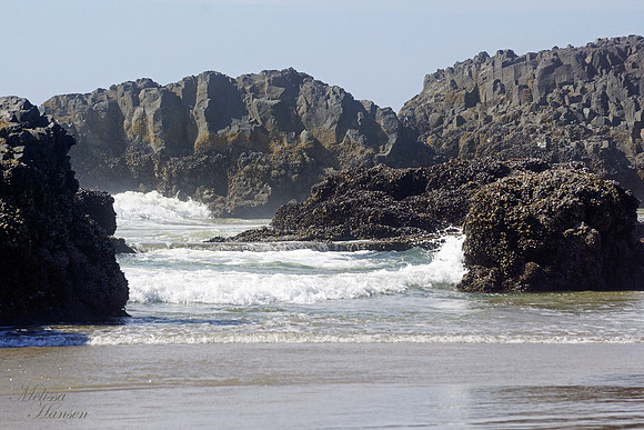 Mussel Filled Cove