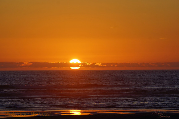 Orange Light Reflects