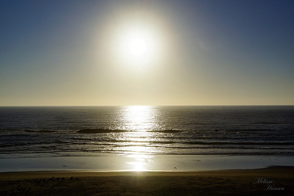 Late Afternoon Glow
