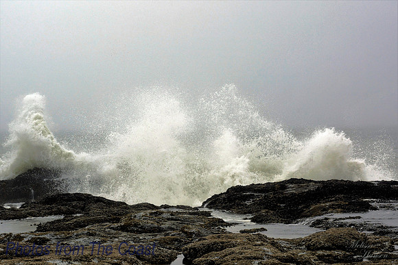 Magnificent Ocean Wave Bursts on Basalt