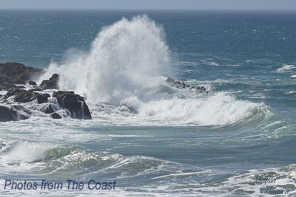 Wonderful, Wild Pacific