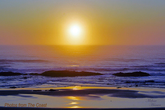 Purple & Gold Sunset