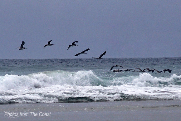 Gliding in Formation