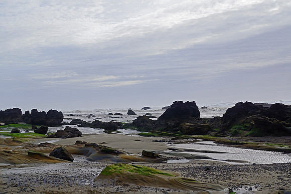 Ocean Rocks