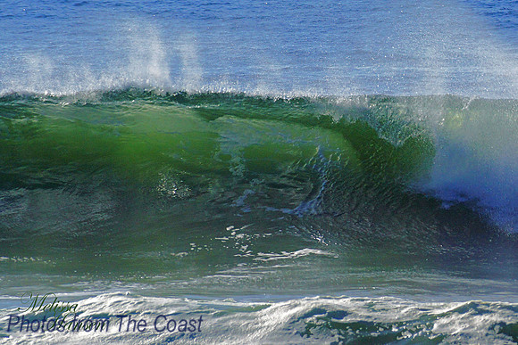 Great Wave